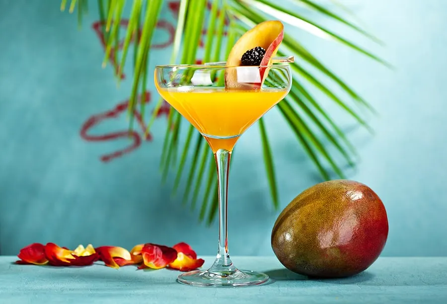 Vanilla Vodka Martinis (17 Best Tasting)