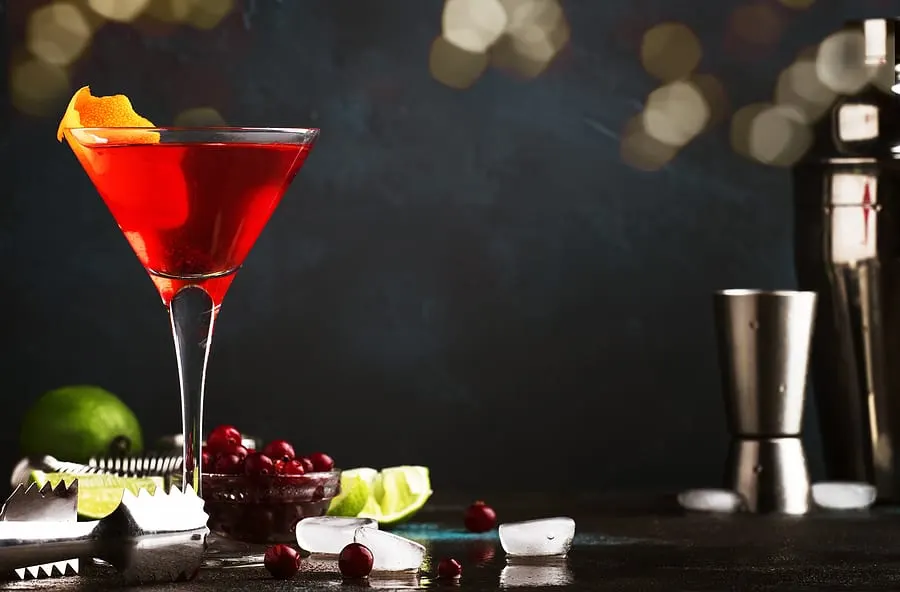 10 Best Cranberry Vodka Martinis