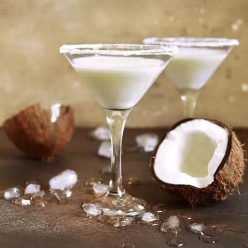 Coconut Martini by Skinny Mixes