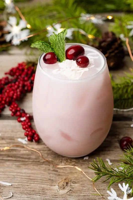 Cranberry Coconut Mojito by A Full Living