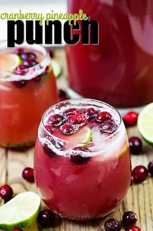 Cranberry Pineapple Punch by Real House Moms