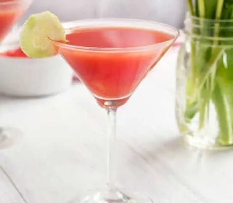 Cucumber Watermelon Skinny Martini