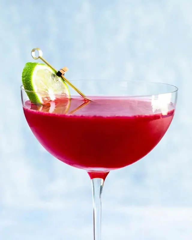 Rum and Cranberry Juice Cocktail by A Couple Cooks