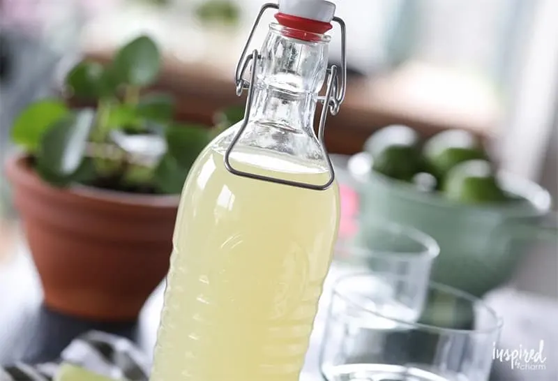 Best Homemade Margarita Mix Recipe