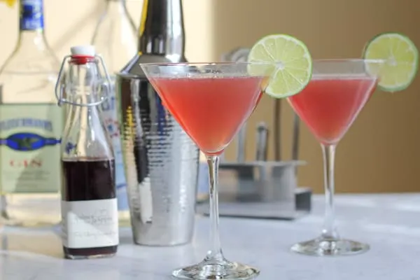 Gin Daisy Cocktail