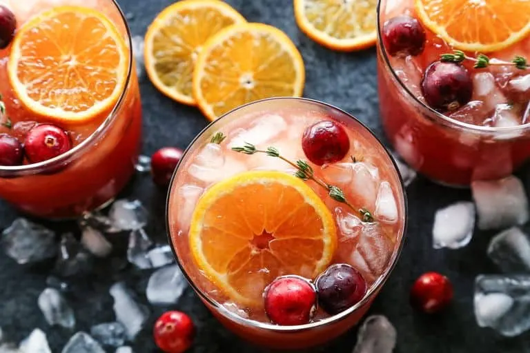 Cranberry Thyme Gin & Tonic