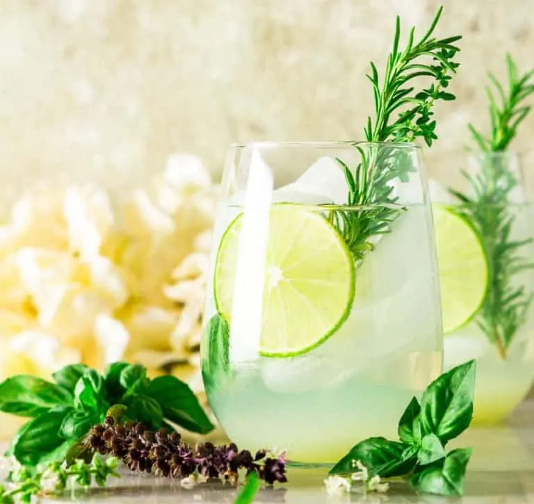 Garden Gin & Tonic