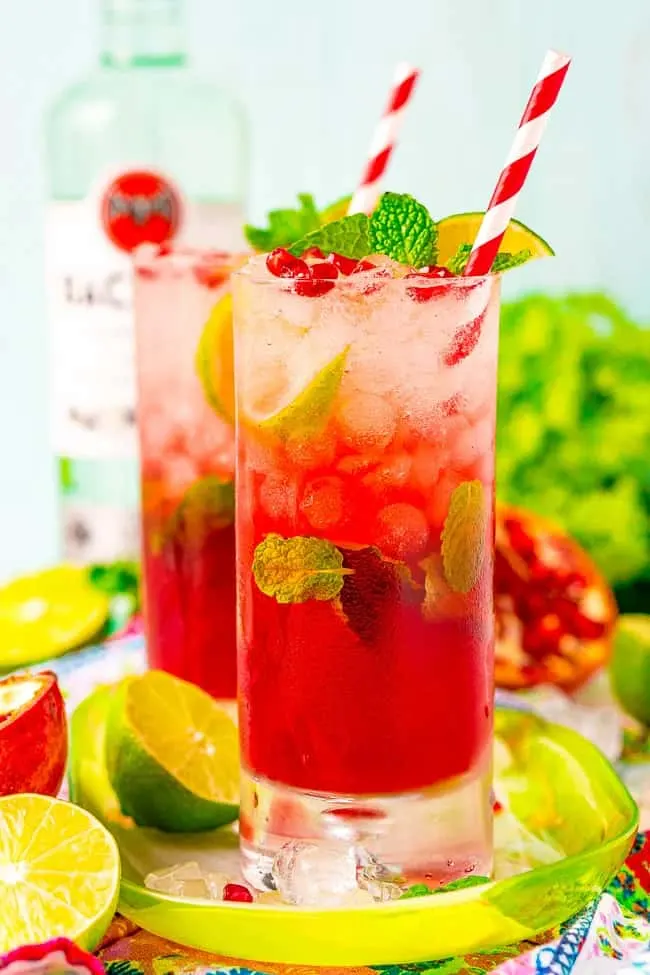 Pomegranate Mojito