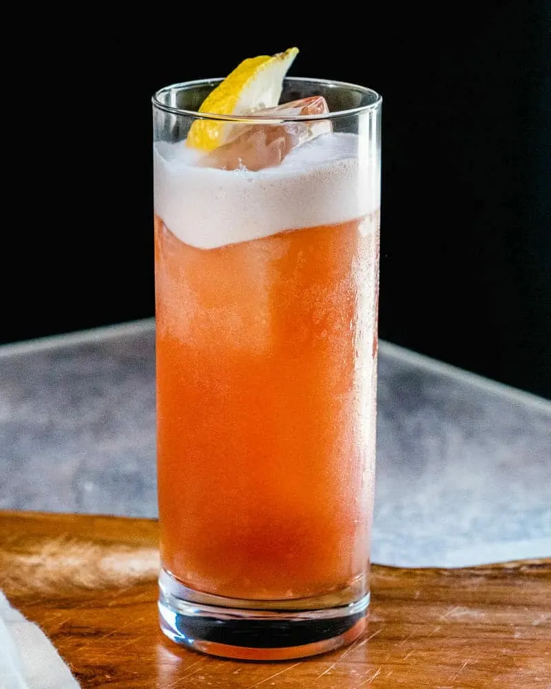 Sloe Gin Fizz