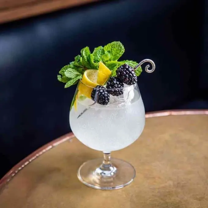Summer Gintonica Recipe