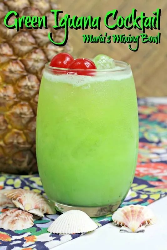 The Green Iguana
