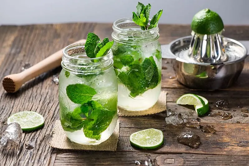 Baja Bob’s Mojito Mix