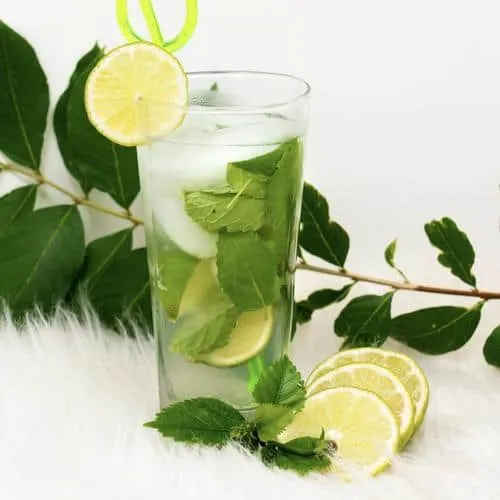 Skinny Mint Mojito