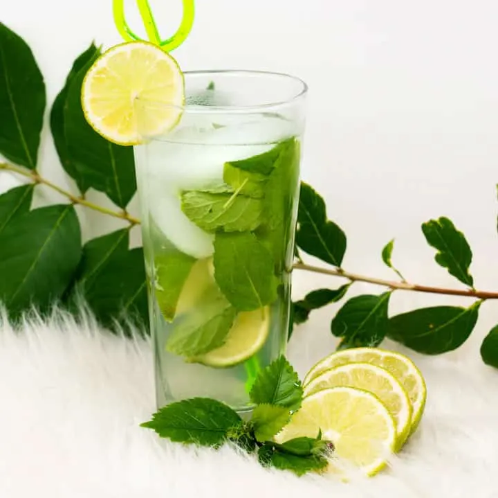Skinny Mixes Mojito Mix