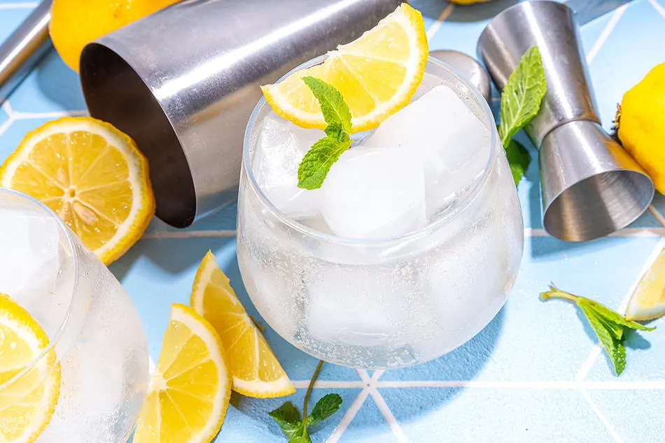 The Best Skinny Girl Mojitos