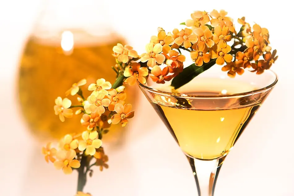 12 Luxe Goldschlager Cocktails