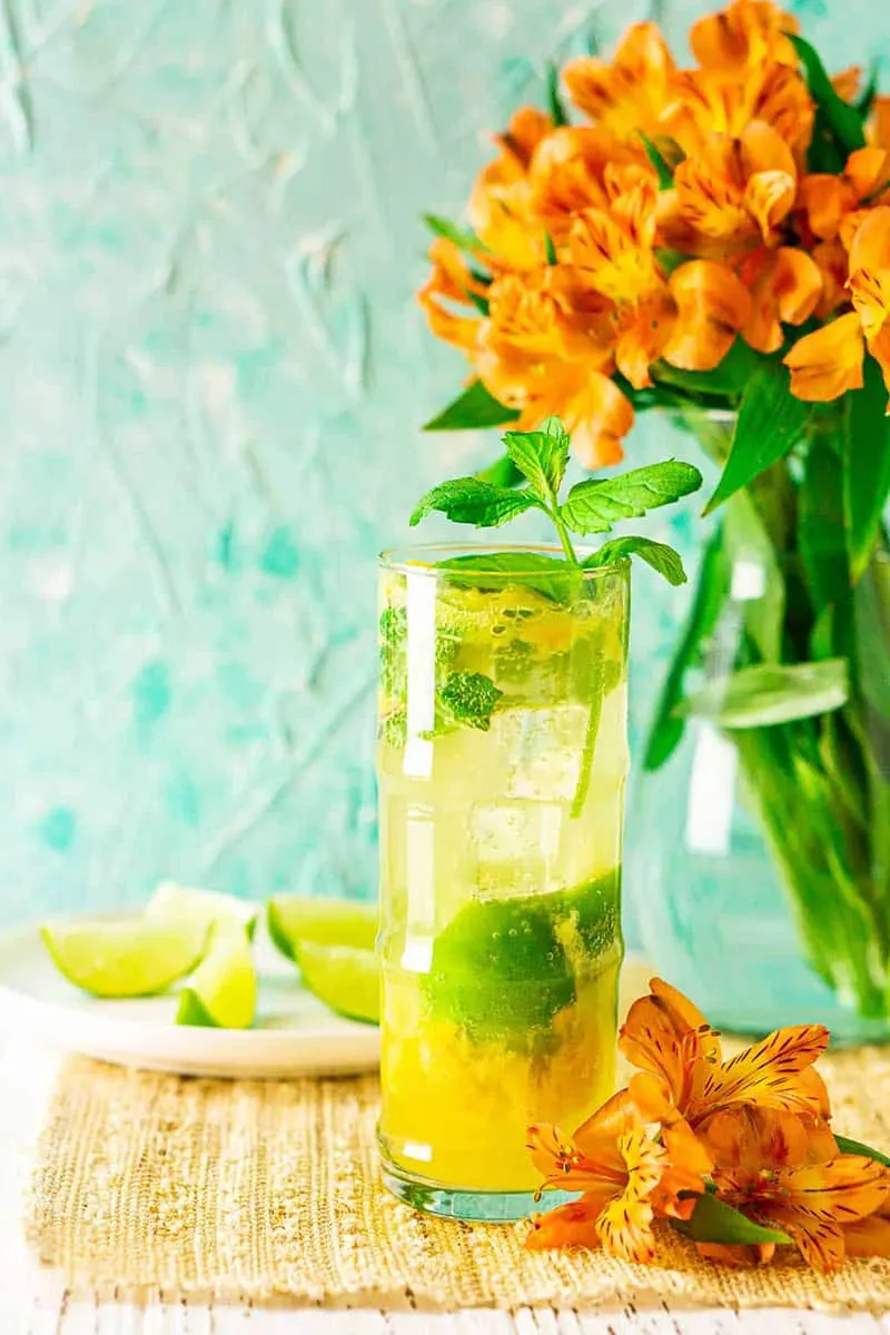 Fresh Mango Mojito