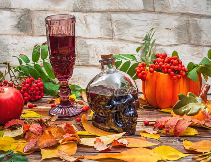 25 Fun & Unique Halloween Wine Glasses