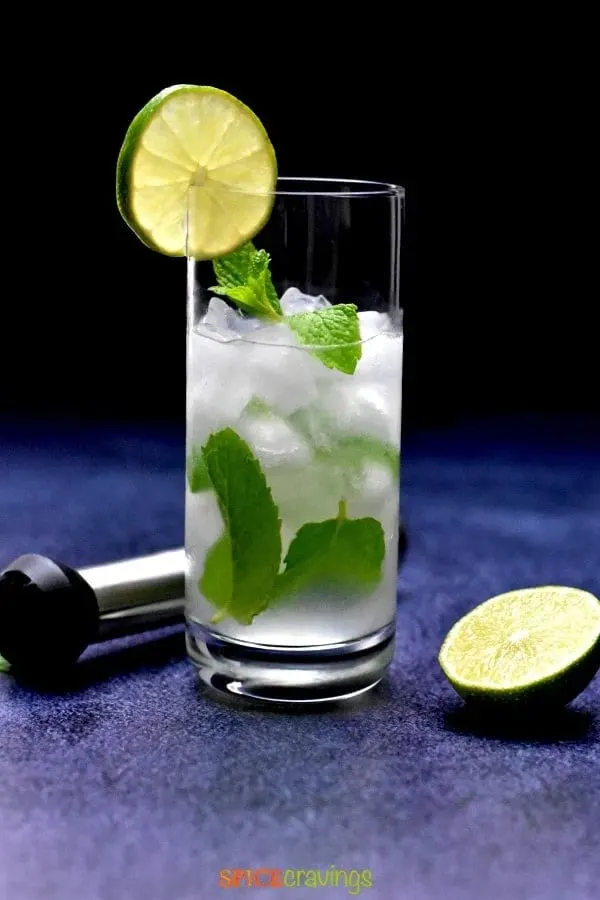 Low Carb Mojito