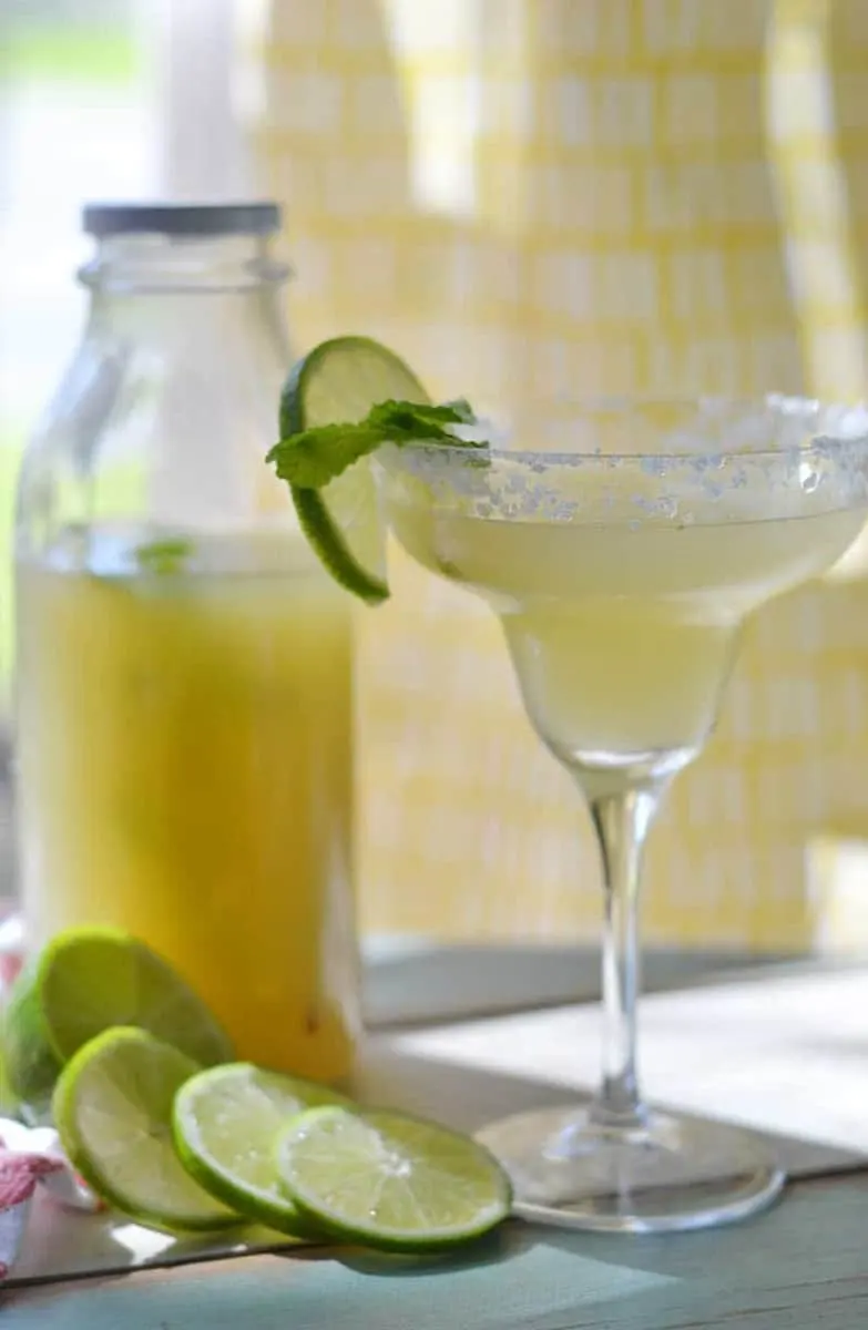 Margarita Mixer