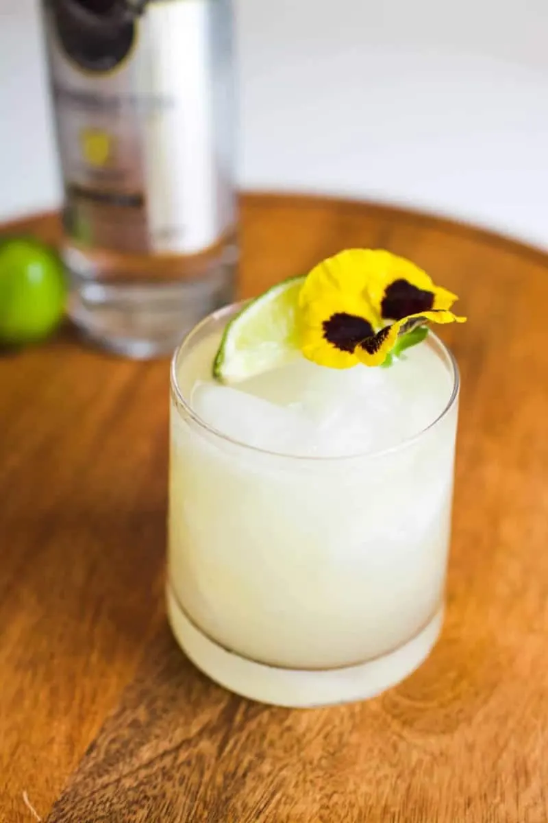 Orange Vodka Margarita