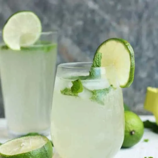 Virgin Mojito Recipe