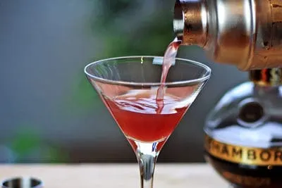 Electric Martini Shakers