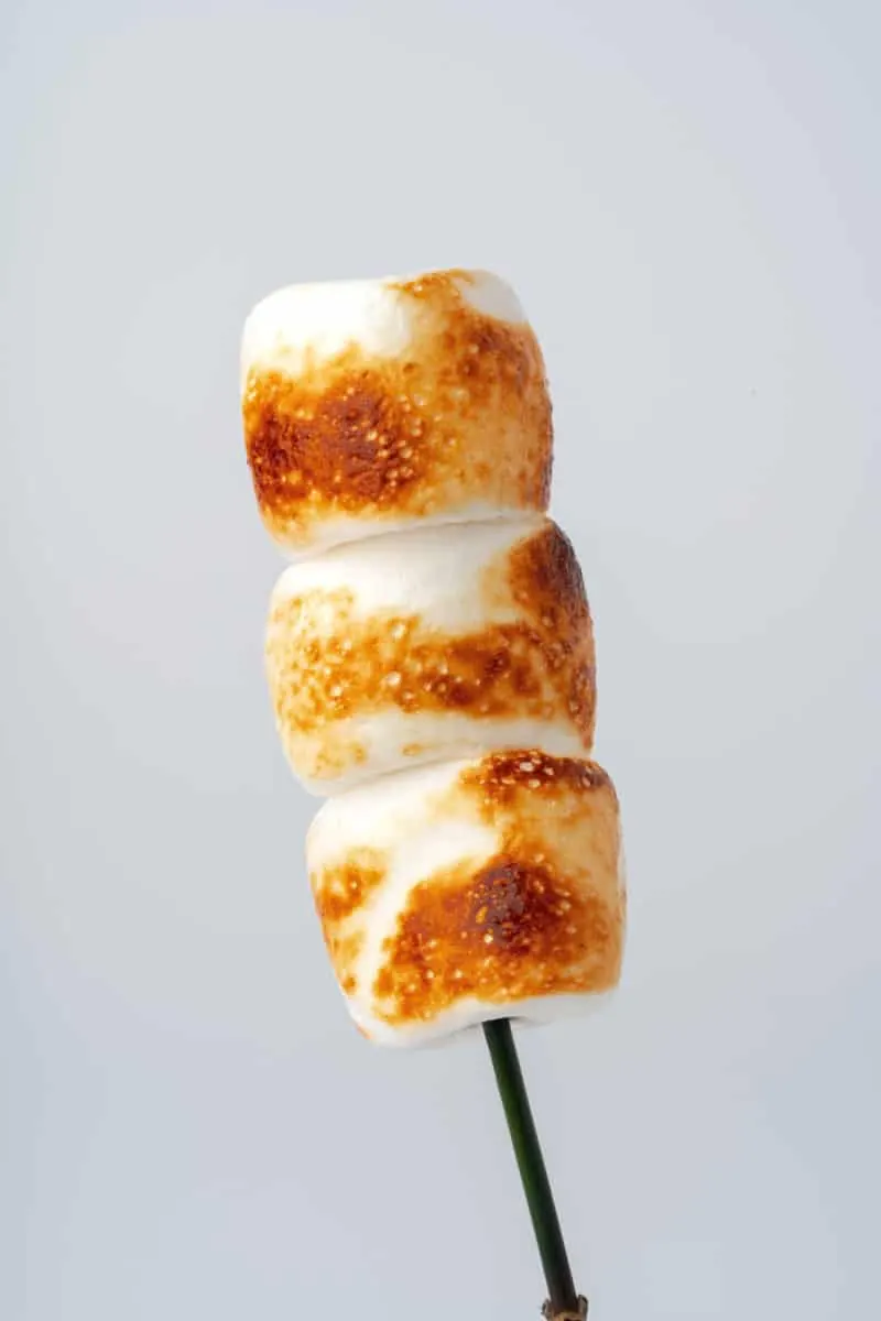 Toasting a Marshmallow without a Campfire