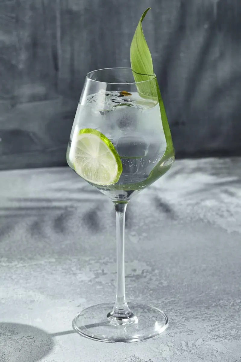 Which Gin To Choose