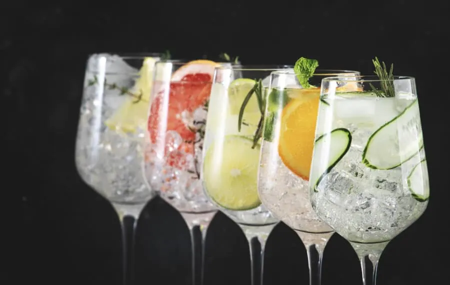 Which Gin To Choose