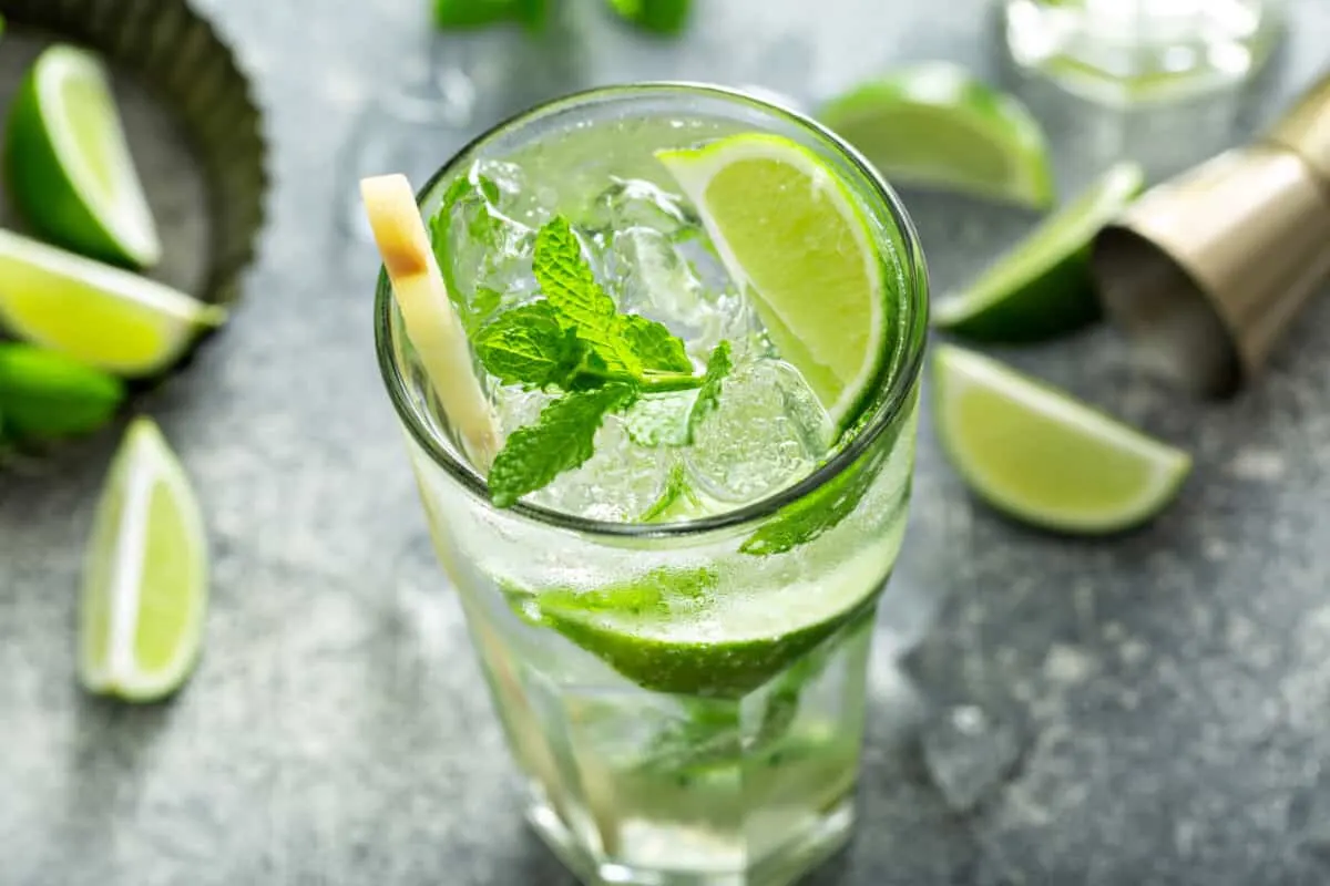 Sugar Cane Sticks For Mojitos: Swizzle Sticks & Straws