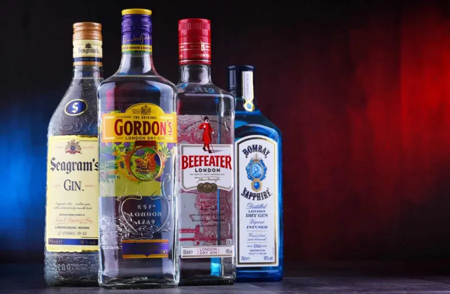 The Best Gin for Martinis