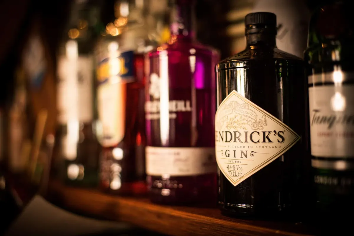 Best Gin Brands For A Martini