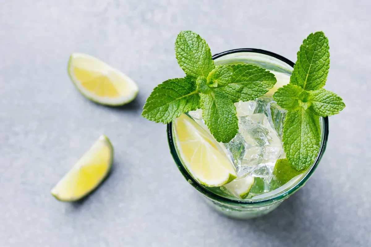 Best Mint for a Mojito Buyer’s Guide
