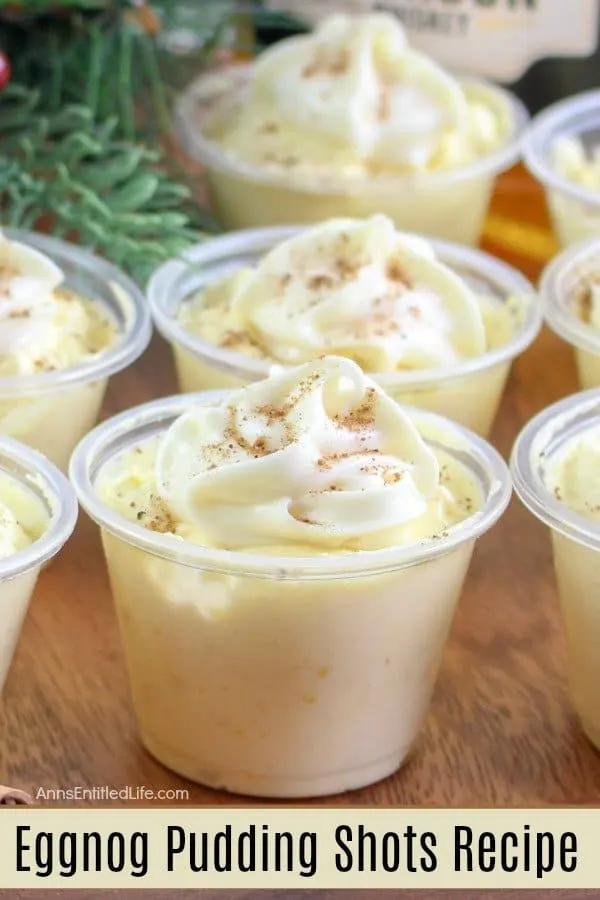 Rumchata Eggnog Pudding Shots