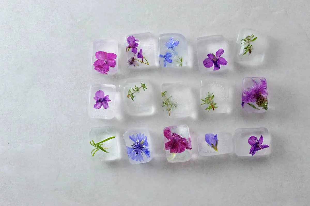 Edible Flowers for Cocktails