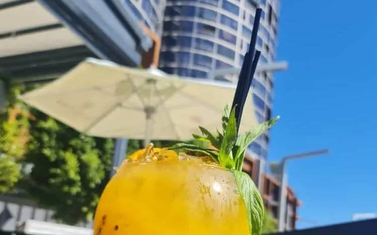 Fish Bowl Glasses