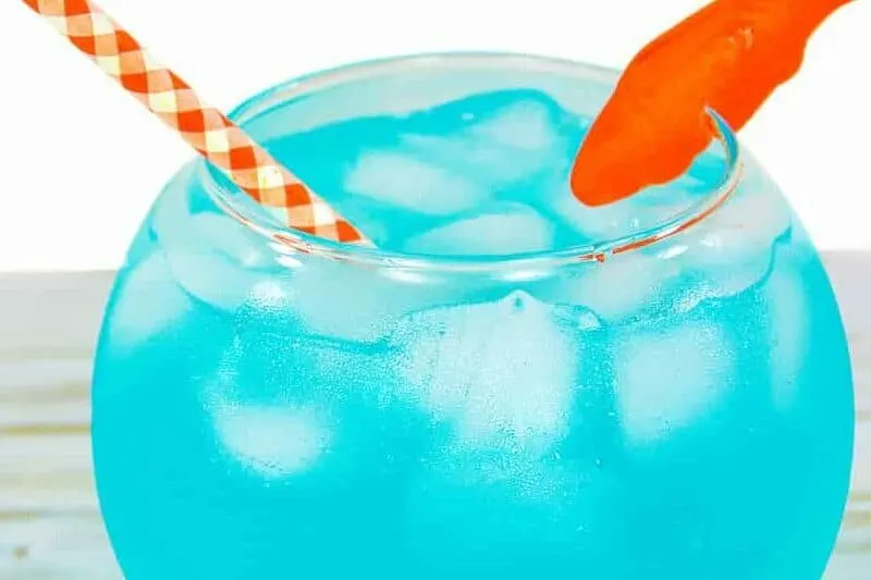 Fish Bowl Glasses