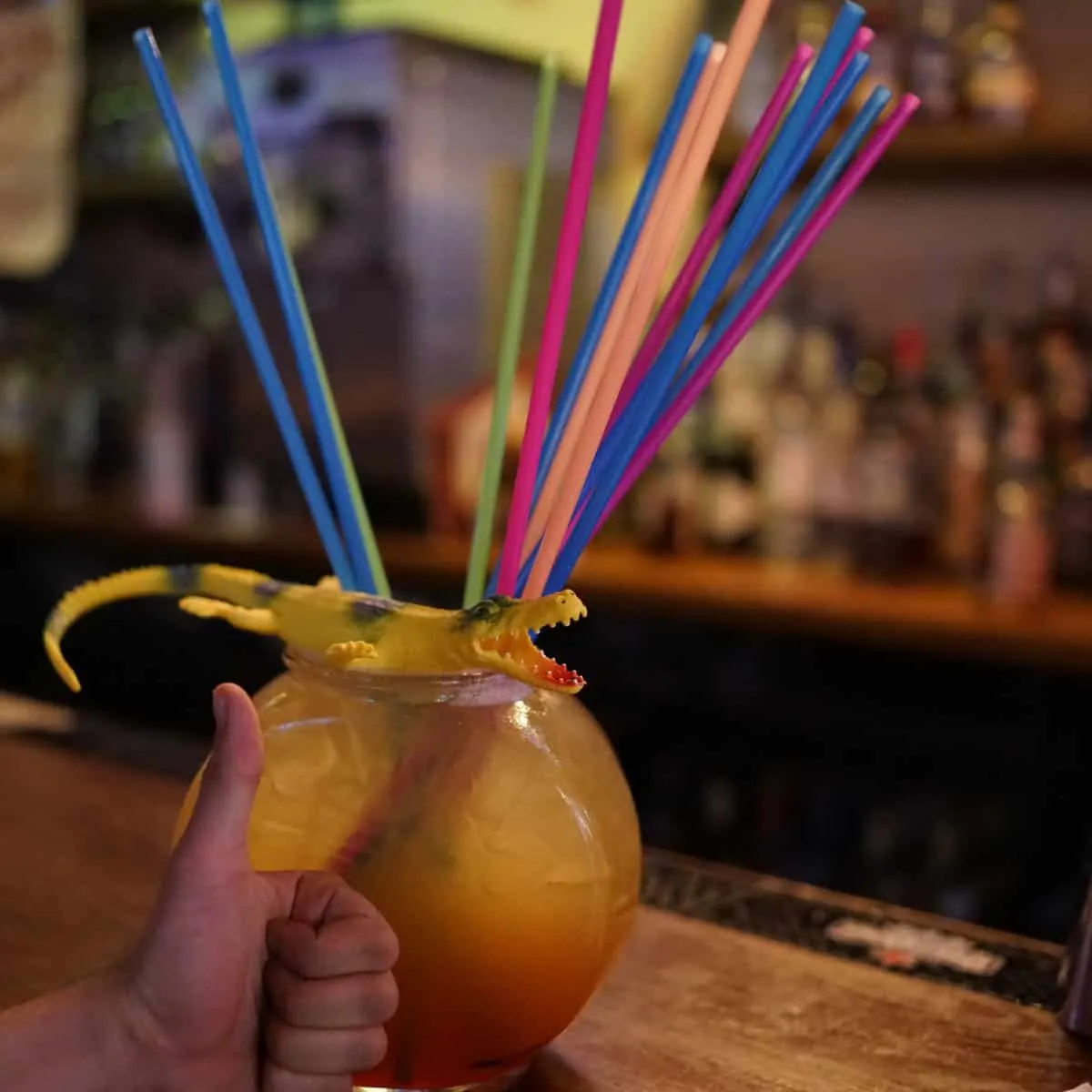 Plastic Fish Bowls