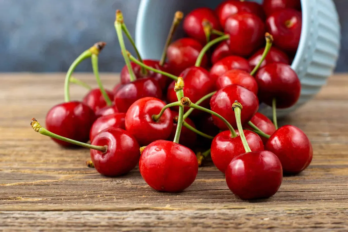 cherries for cocktails
