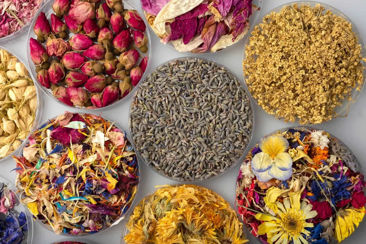Flowers from your Own Garden