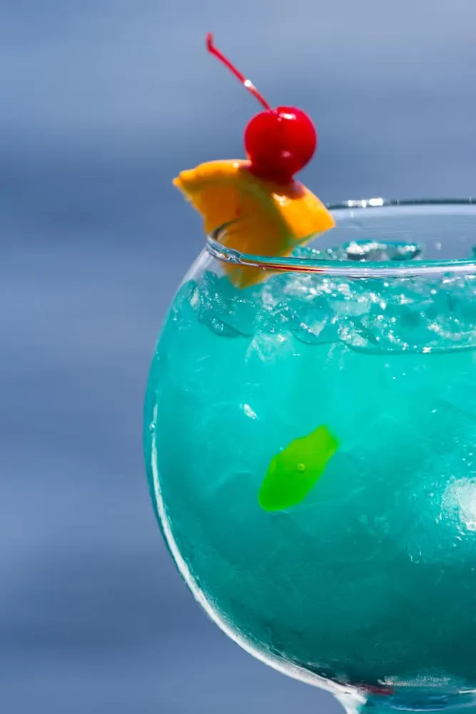 plastic fish bowls for drinks