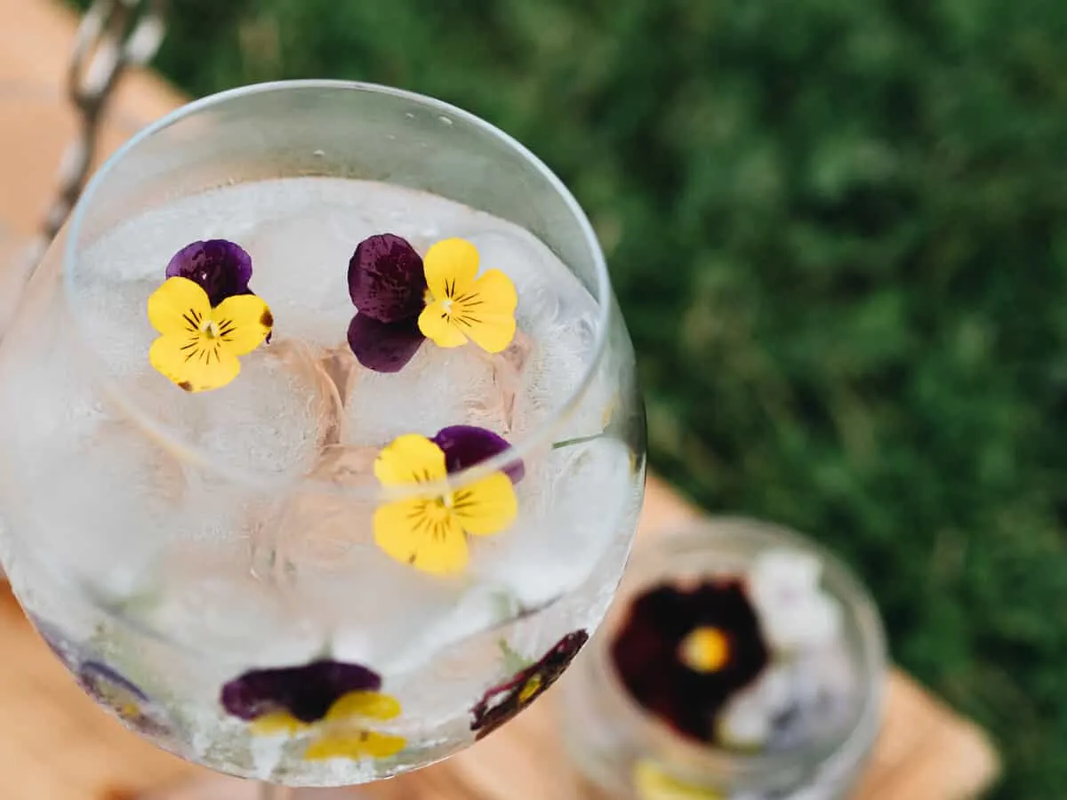 Edible Flower