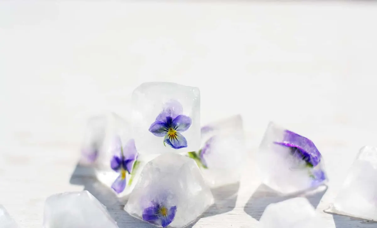 Ice