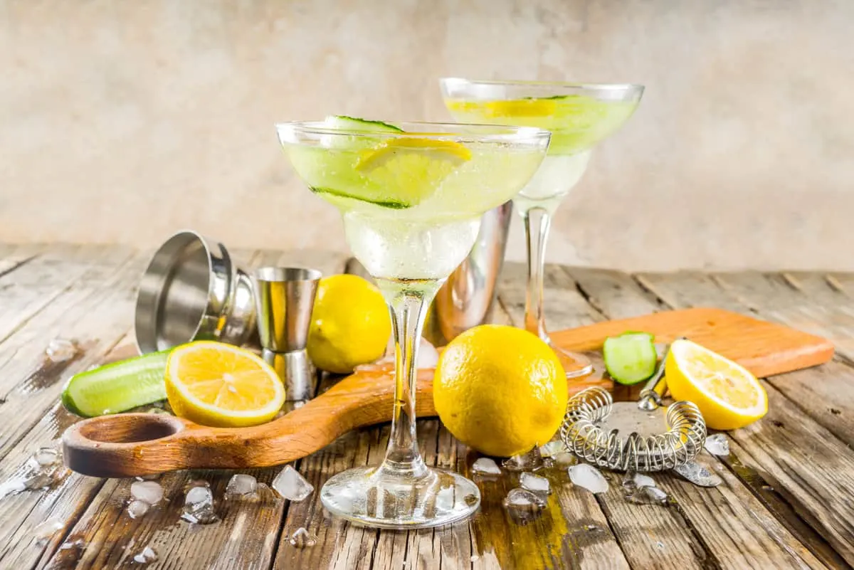 21+ of the Best Low Calorie Vodka Drinks