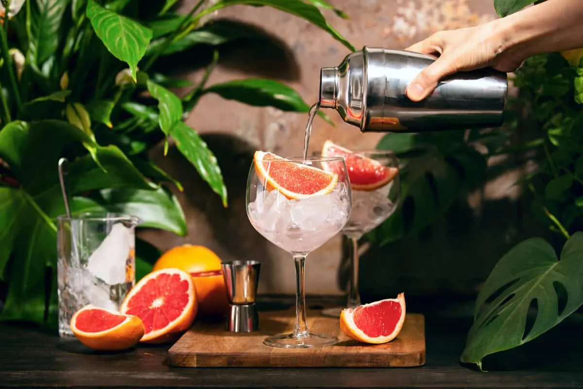 17 Best Gin Cocktails for Summer