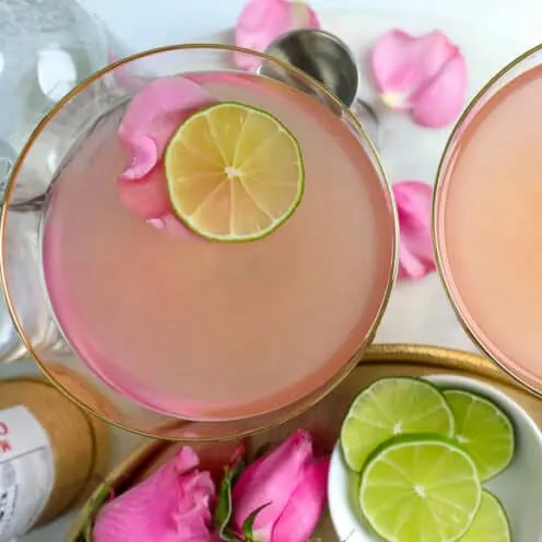 Pink Vodka Cocktail