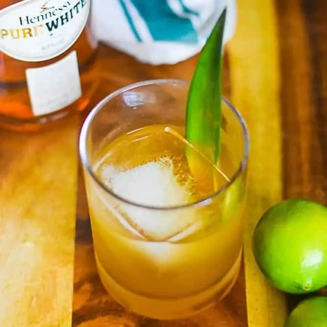 Tropical Hennessy Pure White Cocktail