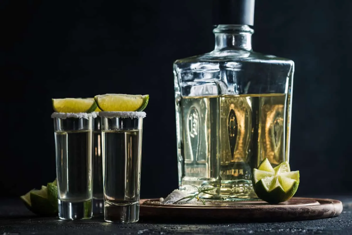 What Is Tequila Made Out Of + 5 Classic Tequila Cocktails