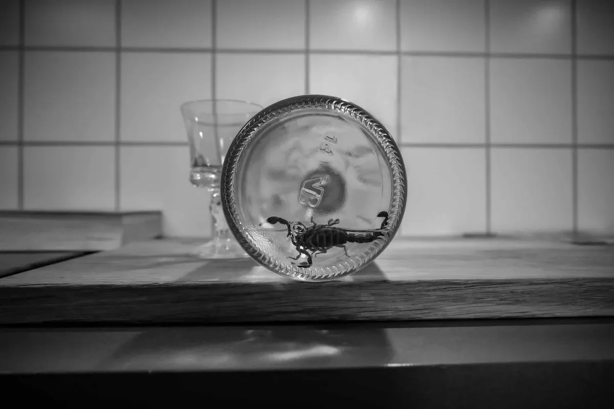 Is the scorpion in mezcal real